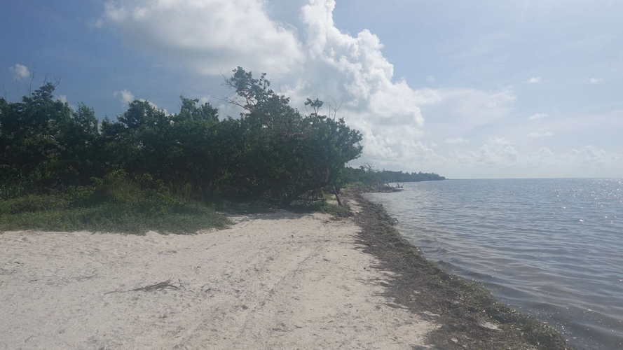 MIA_2023-08-15 10-14-50_RX_06120